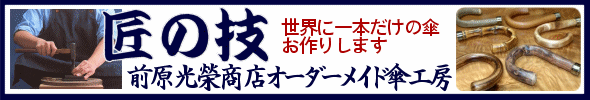 �O�����ď��X�I�[�_�[���C�h�P�H�[